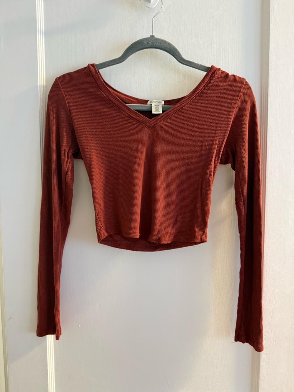 Women's Rust Long-Sleeve V-Neck Cropped Top